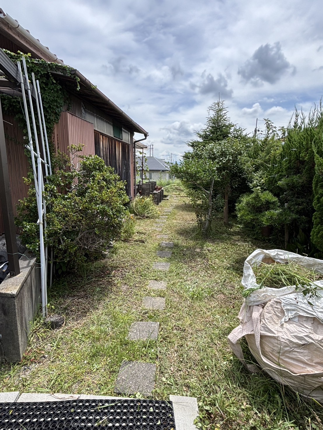庭の除草後の様子（整然とした地表）