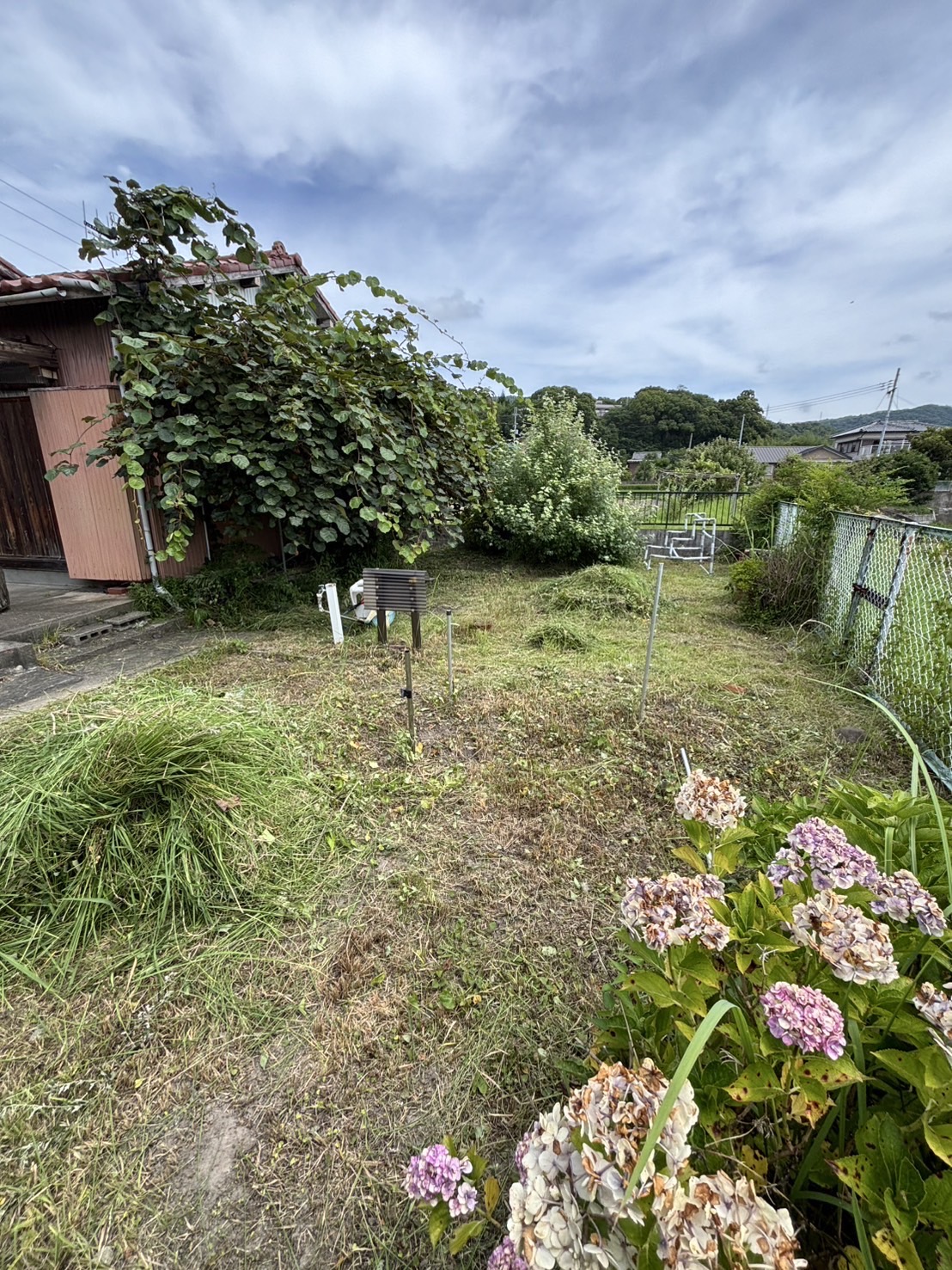 庭の除草後の別角度（集積位置の配慮）
