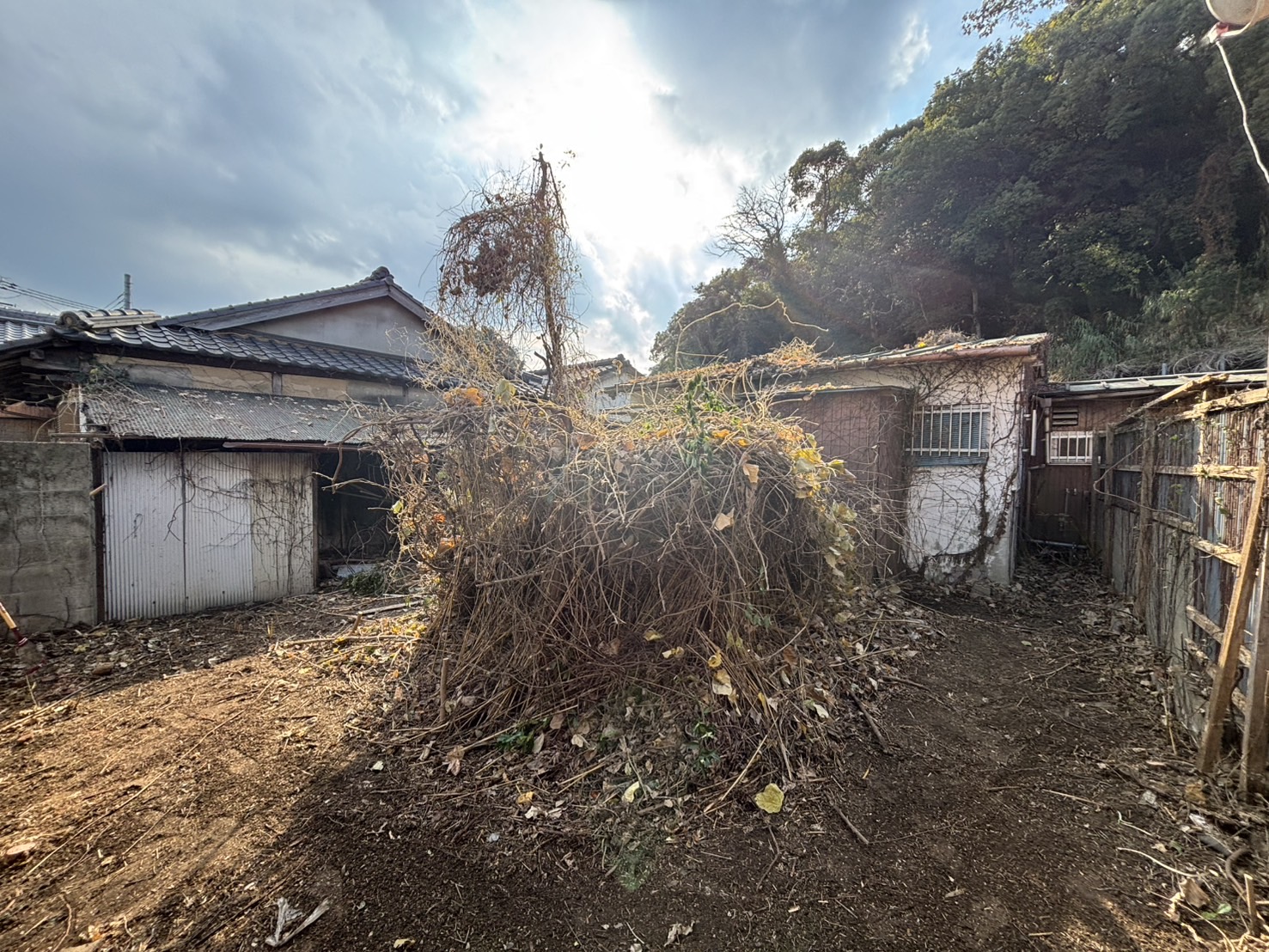 草木刈り・ツタ伐採の施工後の様子（すっきりした敷地）