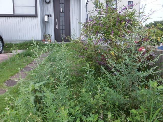 一軒家の庭の草刈り施工前の様子