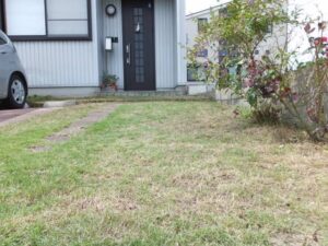 一軒家の庭の草刈り事例｜和歌山市周辺で敷地整理・空き家管理をご検討の方へ