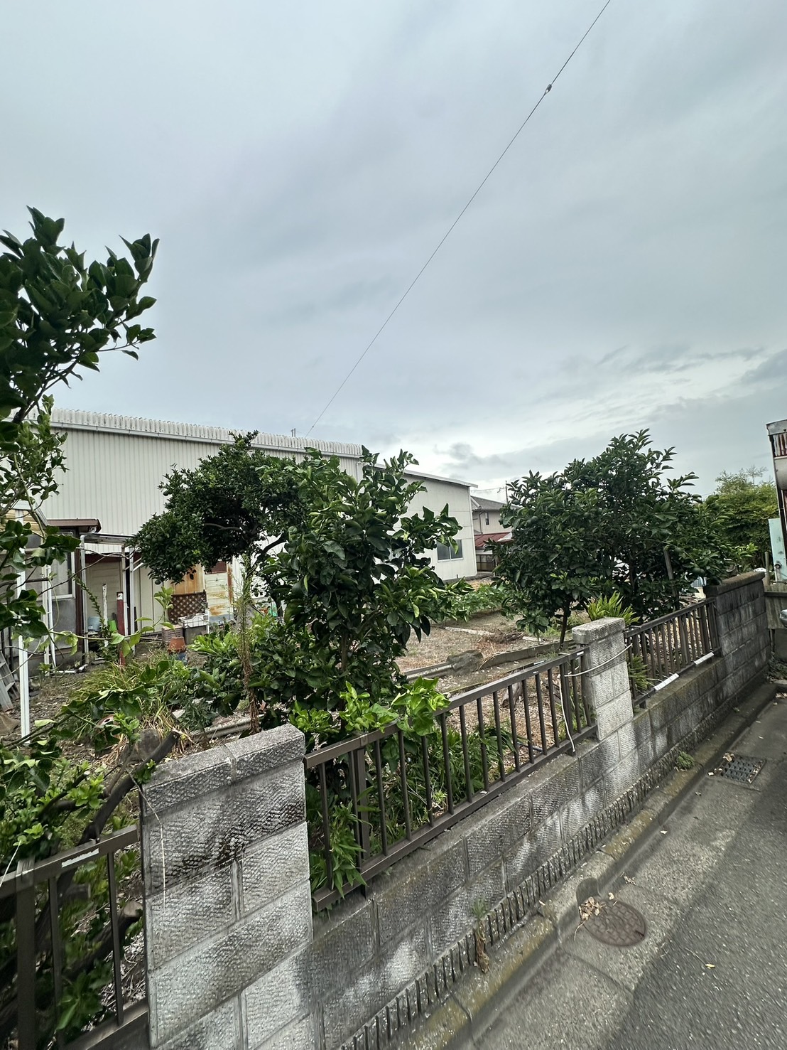 和歌山市木ノ本の解体工事 施工前の建物外観4